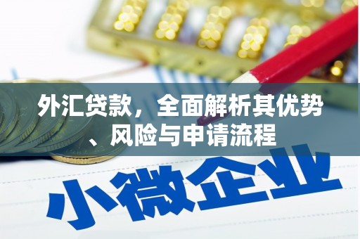 桓仁外汇贷款，全面解析其优势、风险与申请流程