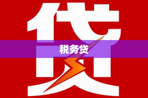 桓仁税务贷