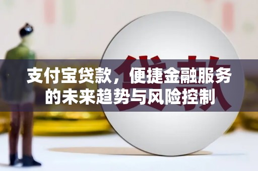桓仁支付宝贷款，便捷金融服务的未来趋势与风险控制