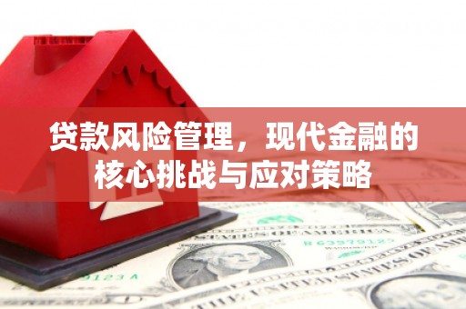桓仁贷款风险管理，现代金融的核心挑战与应对策略