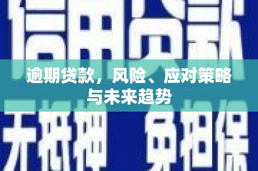 桓仁逾期贷款，风险、应对策略与未来趋势