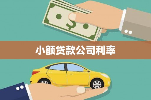 桓仁小额贷款公司利率