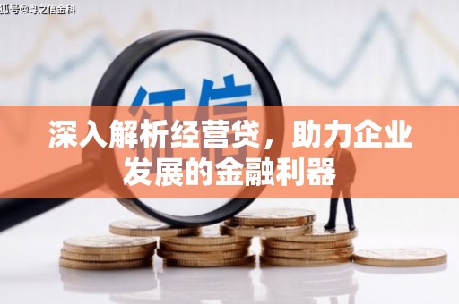 桓仁深入解析经营贷，助力企业发展的金融利器