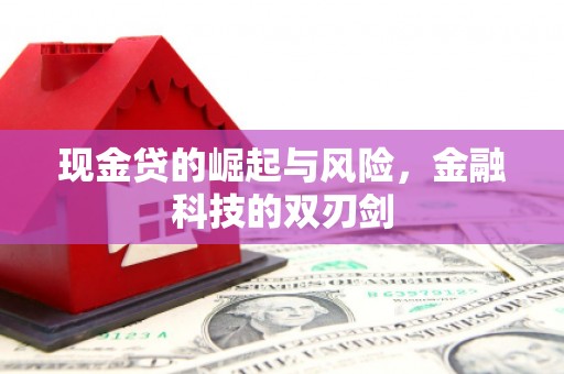 桓仁现金贷的崛起与风险，金融科技的双刃剑
