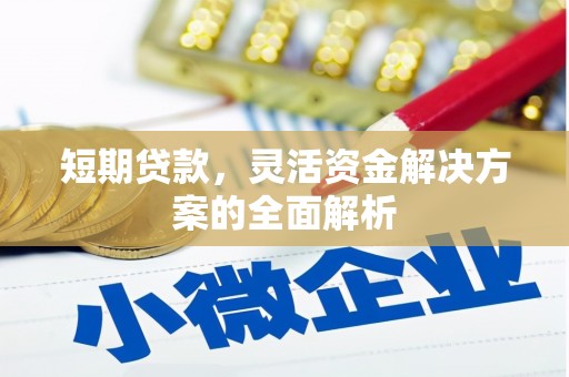 桓仁短期贷款，灵活资金解决方案的全面解析