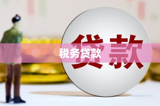桓仁税务贷款