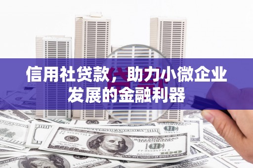 桓仁信用社贷款，助力小微企业发展的金融利器