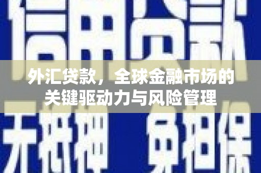 桓仁外汇贷款，全球金融市场的关键驱动力与风险管理