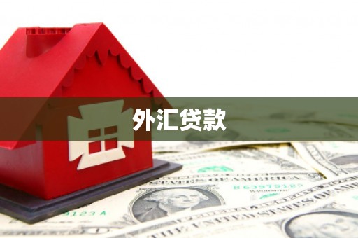 桓仁外汇贷款