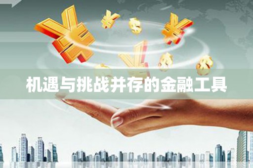 桓仁机遇与挑战并存的金融工具