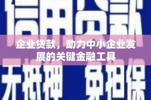 桓仁企业贷款，助力中小企业发展的关键金融工具