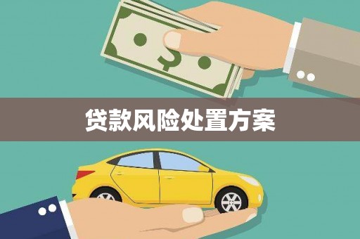 桓仁贷款风险处置方案