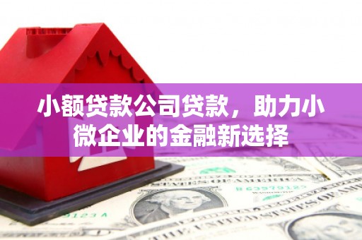 桓仁小额贷款公司贷款，助力小微企业的金融新选择