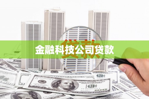桓仁金融科技公司贷款