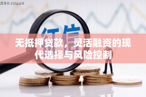 桓仁无抵押贷款，灵活融资的现代选择与风险控制