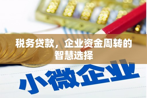 桓仁税务贷款，企业资金周转的智慧选择