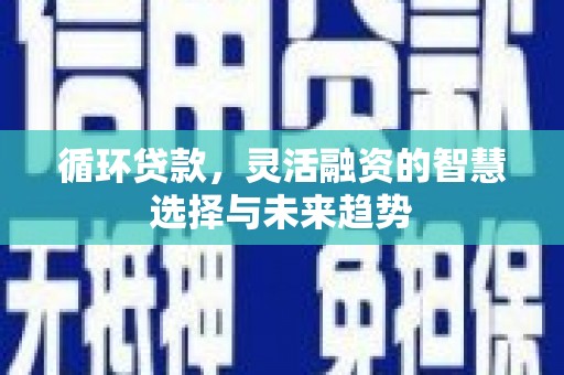 桓仁循环贷款，灵活融资的智慧选择与未来趋势