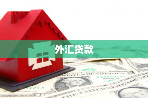 桓仁外汇贷款