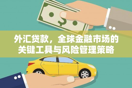 桓仁外汇贷款，全球金融市场的关键工具与风险管理策略