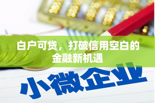 桓仁白户可贷，打破信用空白的金融新机遇