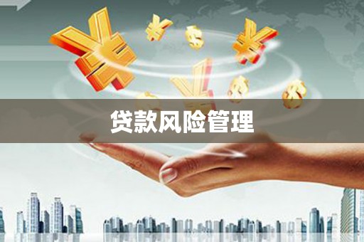 桓仁贷款风险管理