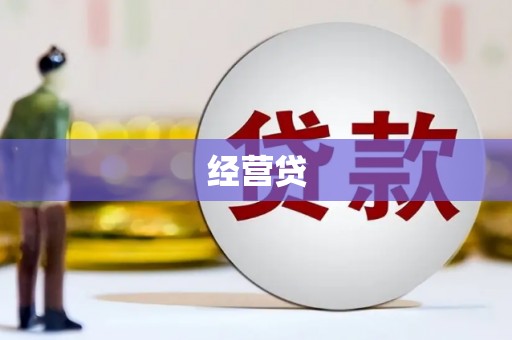 桓仁经营贷