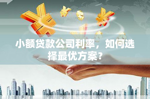桓仁小额贷款公司利率，如何选择最优方案？