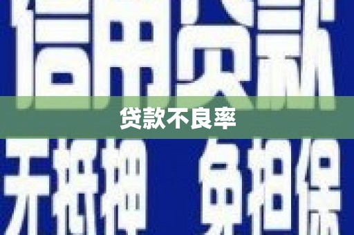 桓仁贷款不良率