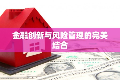 桓仁金融创新与风险管理的完美结合