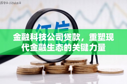 桓仁金融科技公司贷款，重塑现代金融生态的关键力量