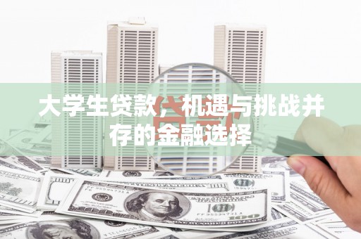 桓仁大学生贷款，机遇与挑战并存的金融选择