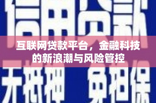 桓仁互联网贷款平台，金融科技的新浪潮与风险管控
